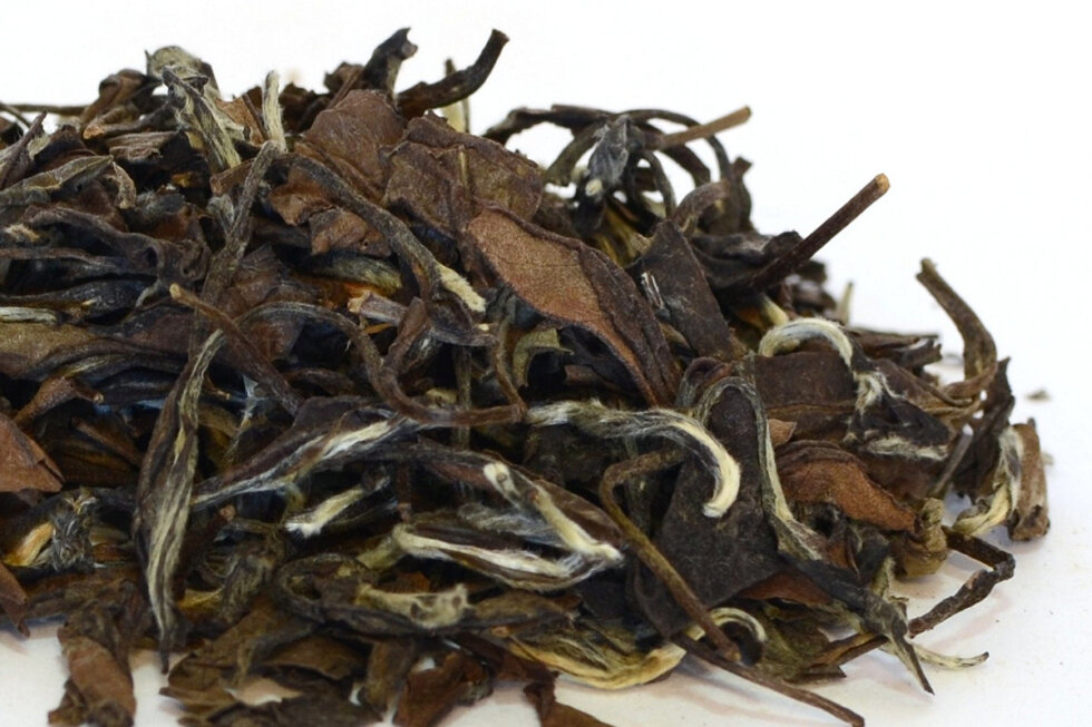 Белый Чай купить в Минске - TeaShop.by :: Польза, свойства белого чая.
