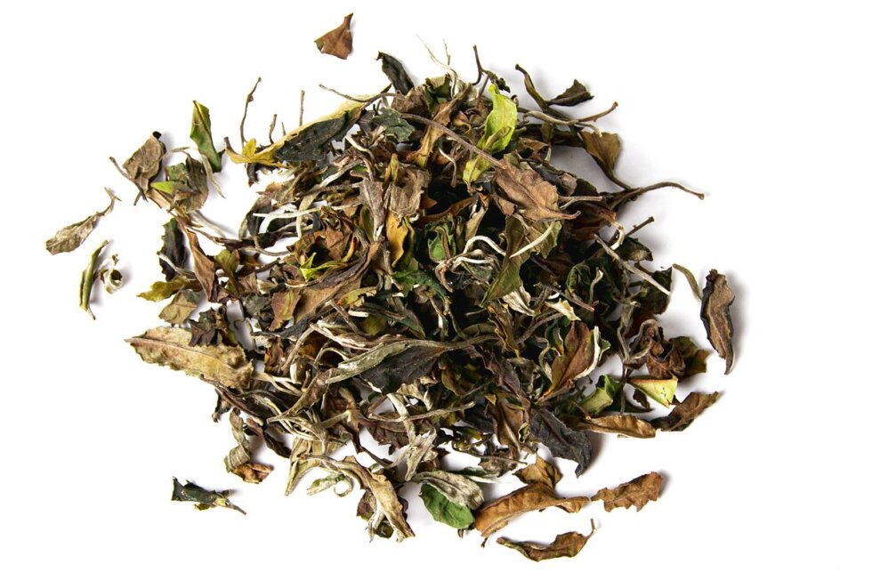 Белый юньнаньский чай Гао Шань Мэнсун Бай Ча, весна 2026 года