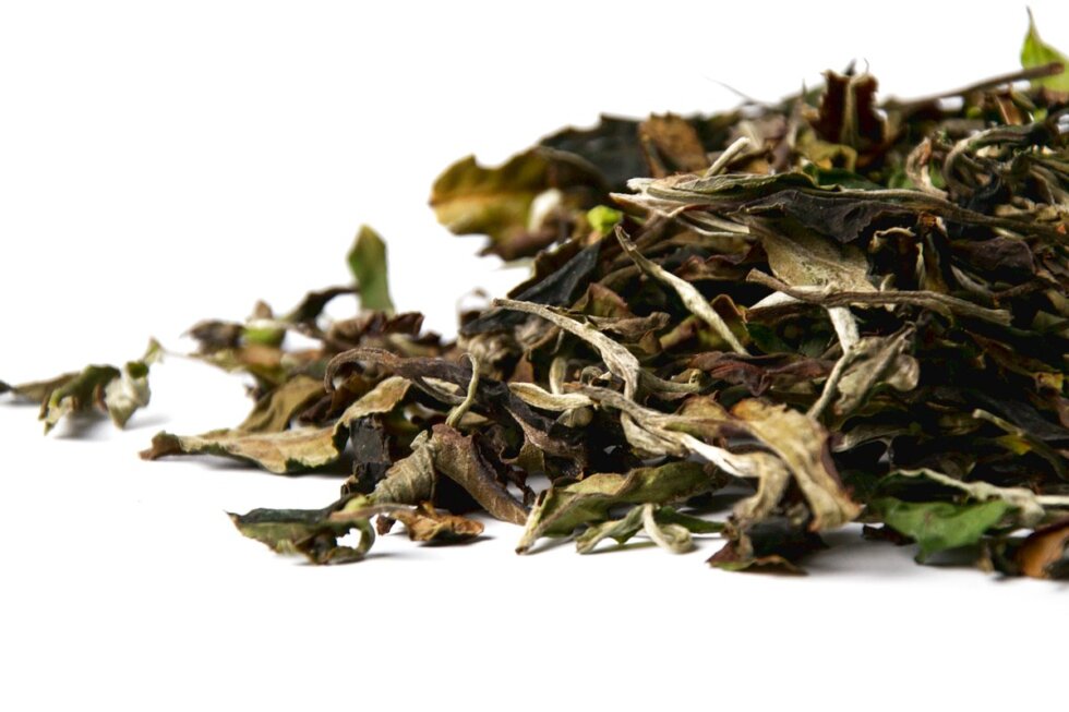 Белый юньнаньский чай Гао Шань Мэнсун Бай Ча, весна 2026 года