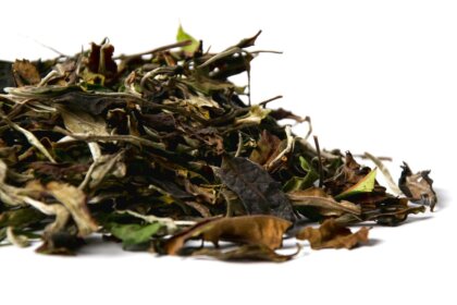 Белый юньнаньский чай Гао Шань Мэнсун Бай Ча, весна 2026 года