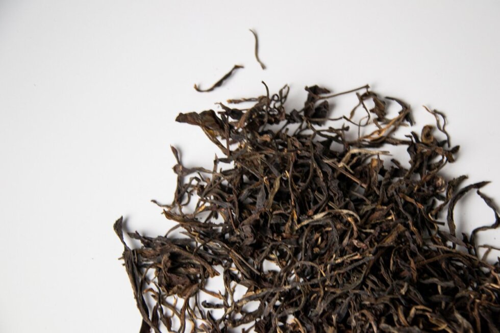 Шен пуэр Иу Да Ци Шу Цяо Му, 2019 год