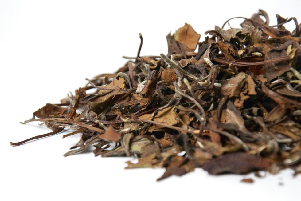 Выдержанный белый чай Лао Шоу Мэй, 2019 год