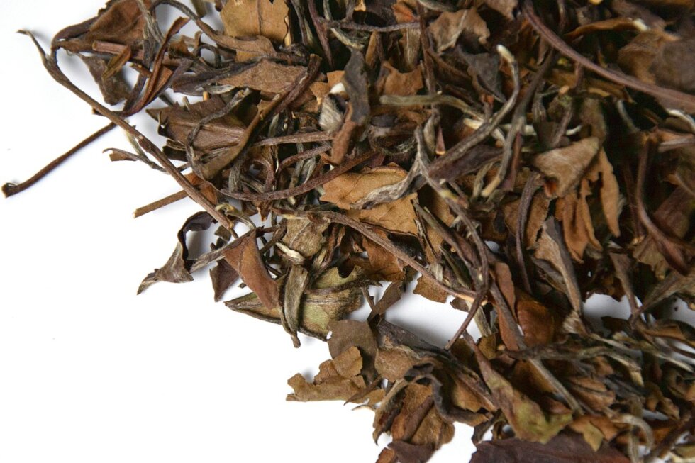 Выдержанный белый чай Лао Шоу Мэй, 2019 год