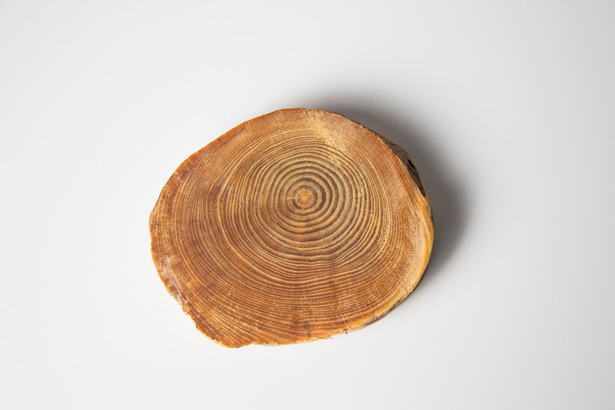 Подставка из агарового дерева